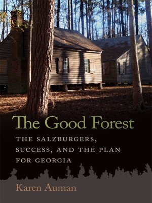 cover image of The Good Forest